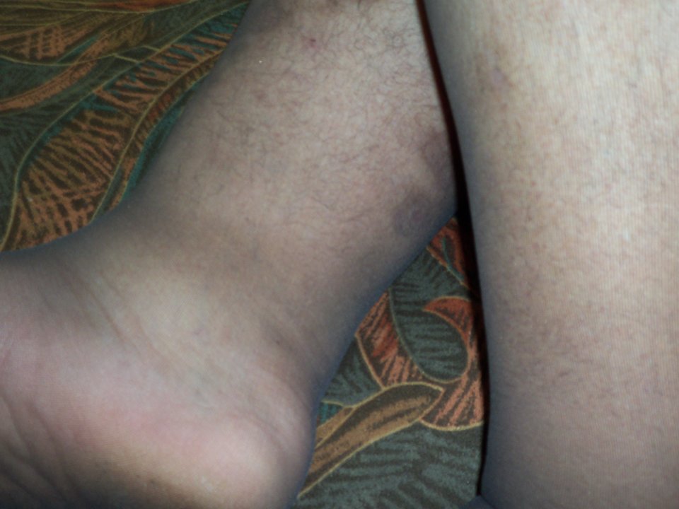 100_1571.JPG - Kamilia