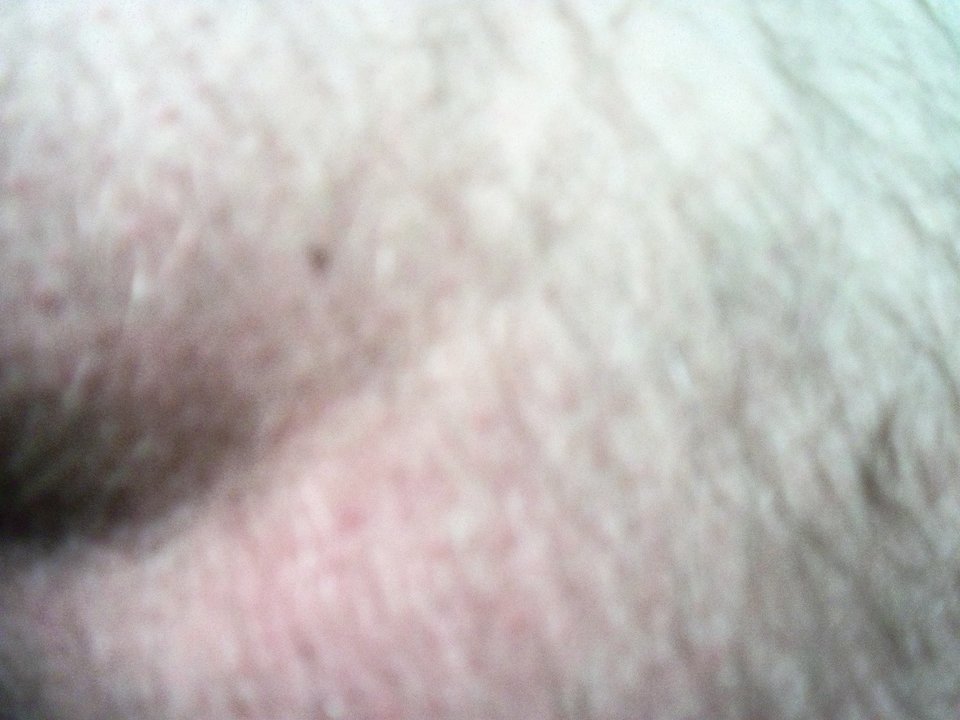 100_1460.JPG - Kamilia