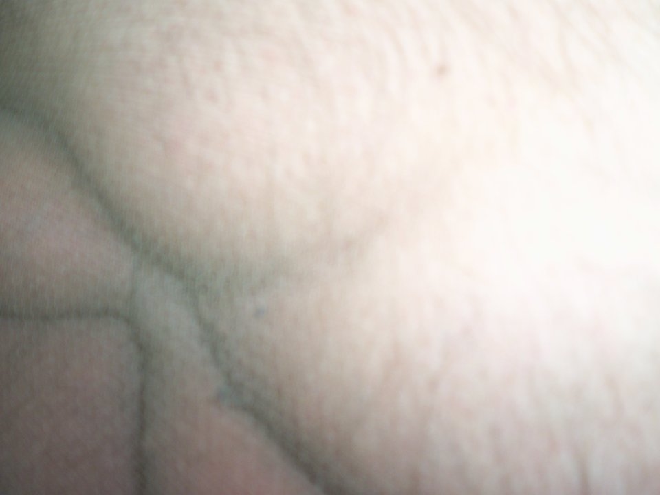 100_1653.JPG - Kamilia