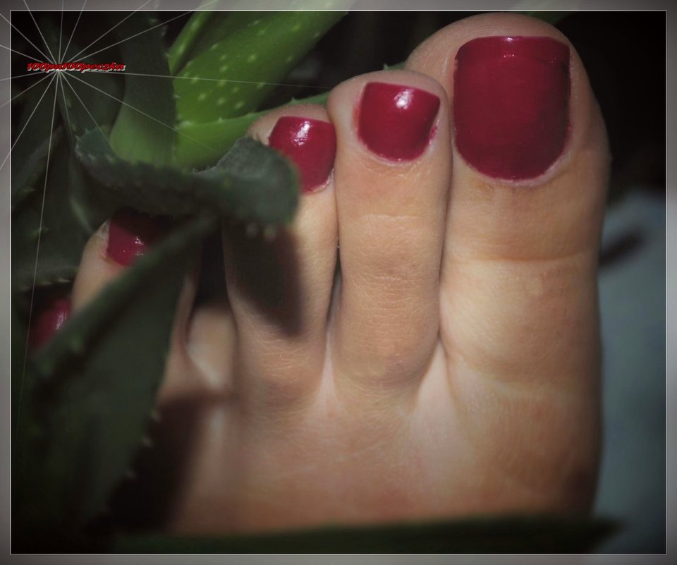 Czerwone Landrynki 121 - 100pa100peczka