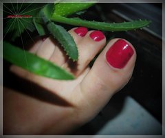 Czerwone Landrynki 123