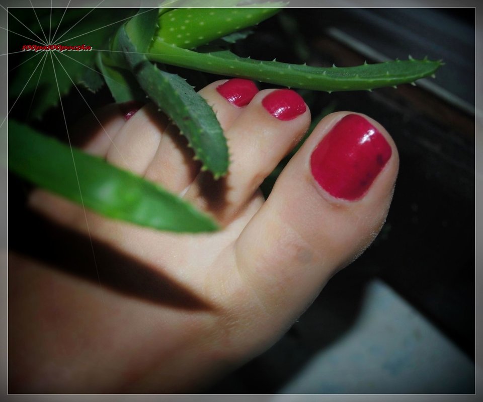 Czerwone Landrynki 123 - 100pa100peczka