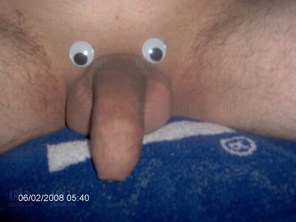 Hujowy słoń (2).JPG - ary7