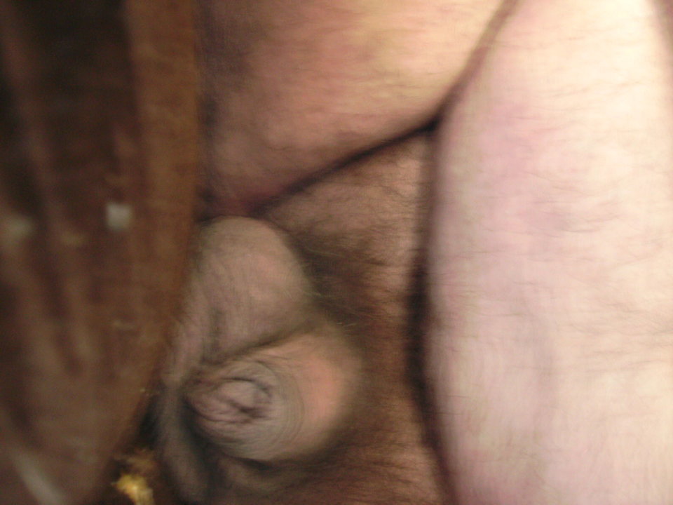 ŚURAK MAŁY - Kamilia