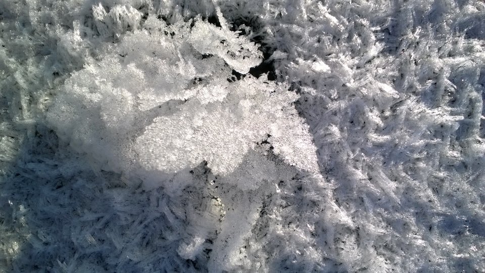 WP_20170109_036.jpg - Ratl