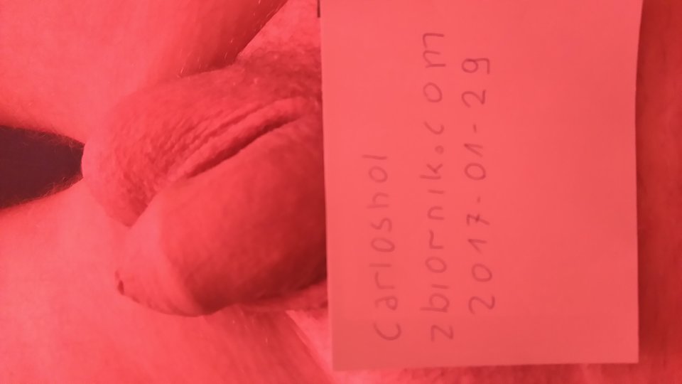 DSC_0004.JPG - carloshol