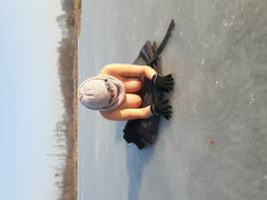 Na zamarznietym stawie