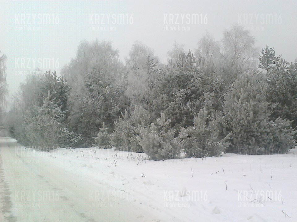 zimowe widoki :) - krzysm16