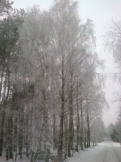 zimy ciąg dalszy :)