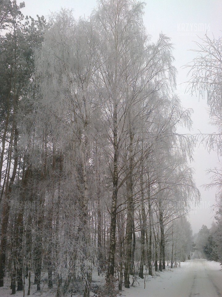 zimy ciąg dalszy :) - krzysm16