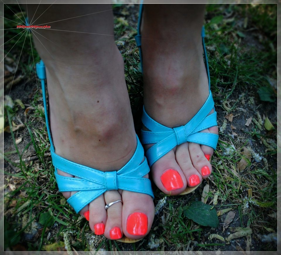 Błękitne Drewniaczki #61 - 100pa100peczka