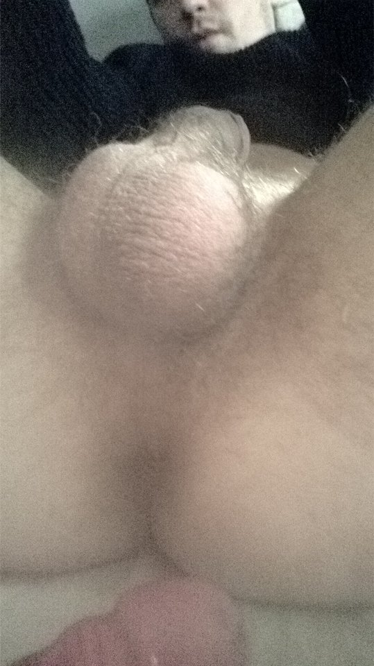 WP_20170112_12_34_10_Pro.jpg - collar84