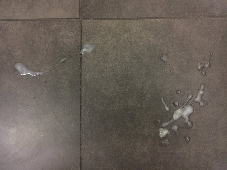 IMG_0919.JPG - bartosz23