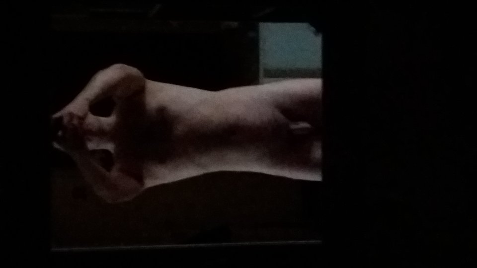 20170207_110456.jpg - WroclawMezczyzna