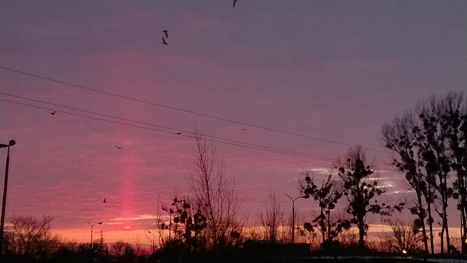 WP_20170210_018[1].jpg - Ratl