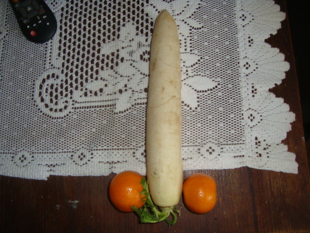 DSC09855.JPG - iwona_2_2_8