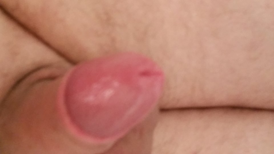 20170212_170534.jpg - 222kaczor