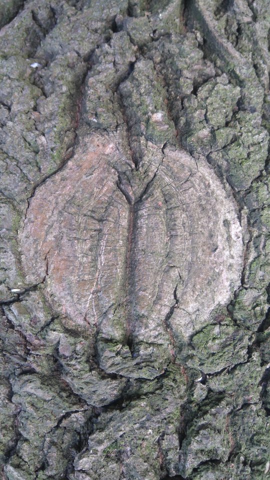 Cnotka :) - Nikt_taki