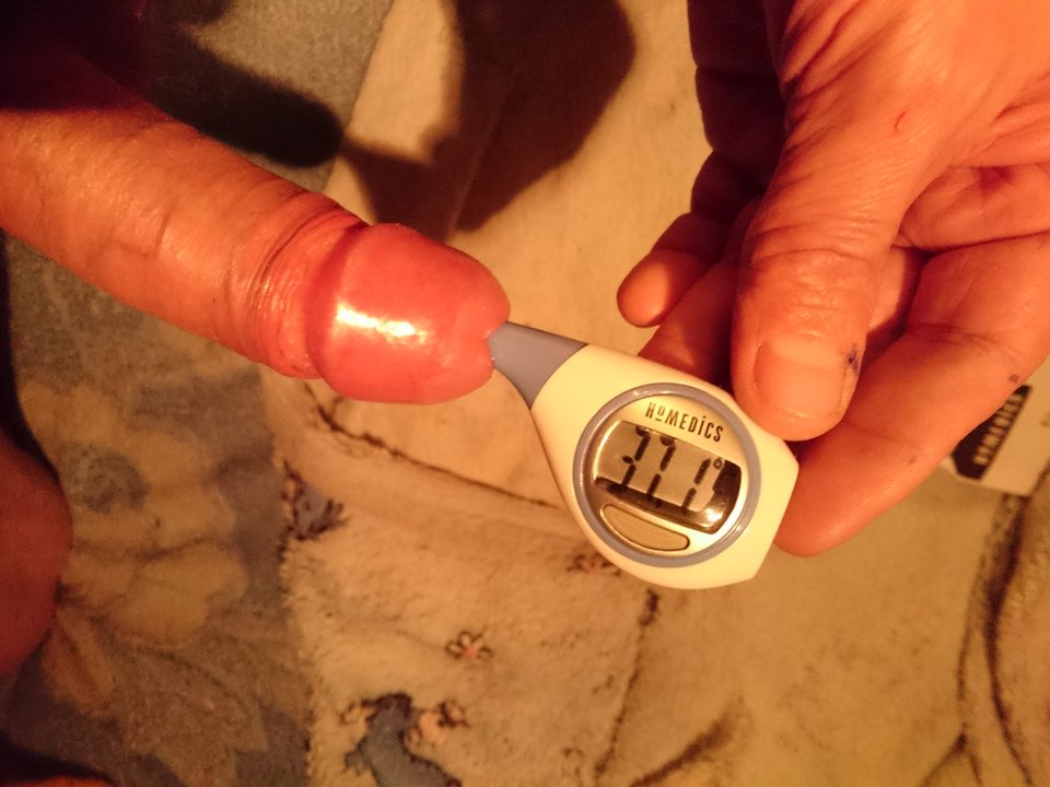 DSC_1336.JPG - Jacencior