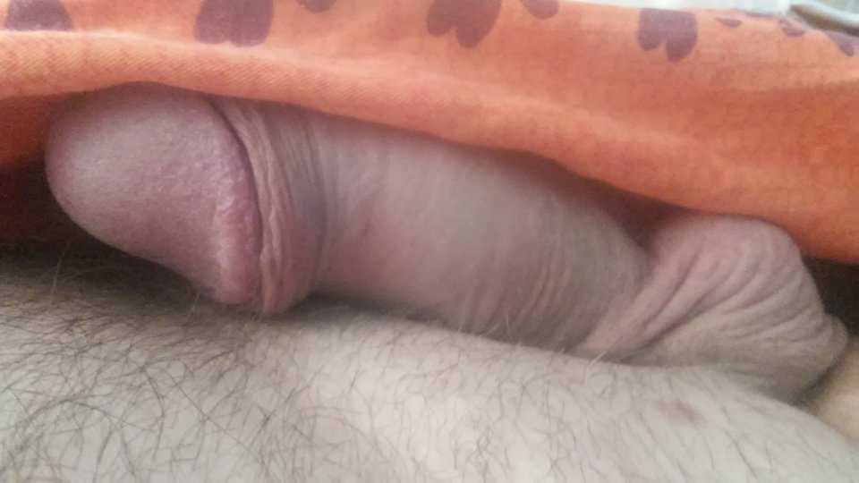 20170216_101945.jpg - Nuss