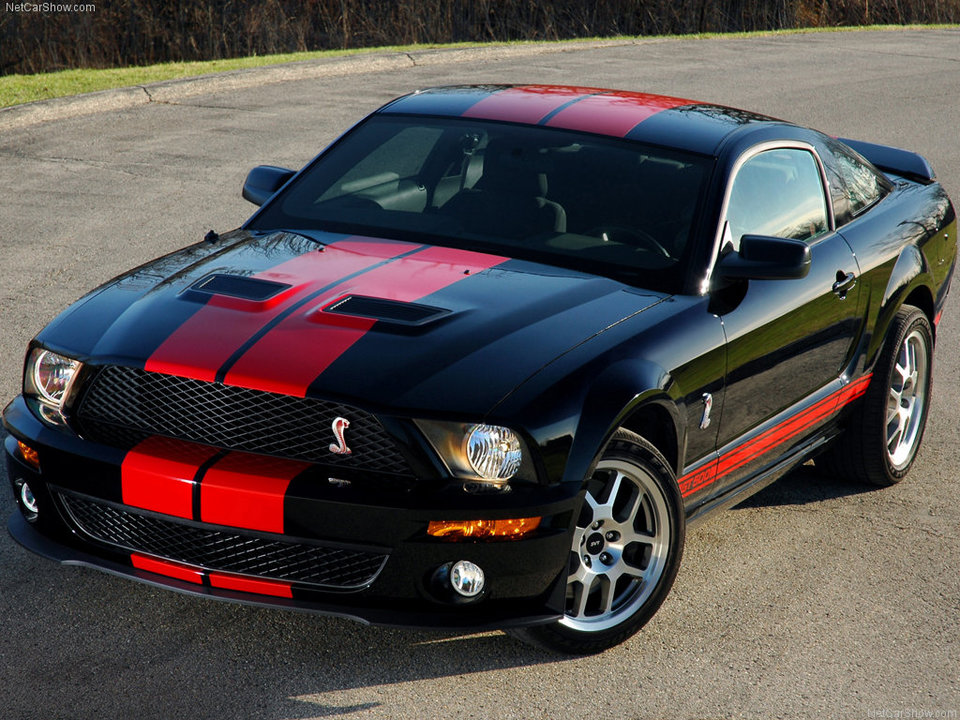 ford-mustang-shelby-gt-3.jpg - bazele