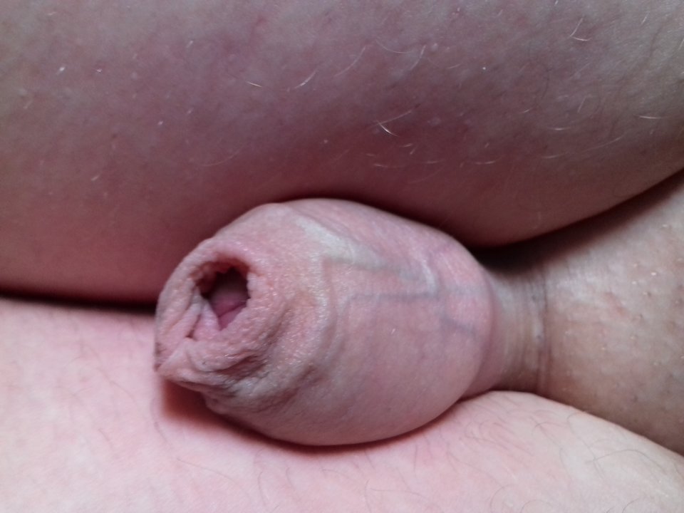 2017-02-19_13.26.27.jpg - robercu