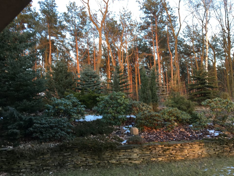 zachód słońca w ogrodzie :)) - kaskader_wawa