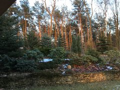 zachód słońca w ogrodzie :))