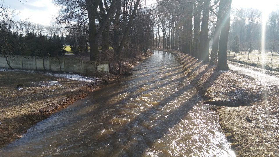 20170225_141456.jpg - trolsome