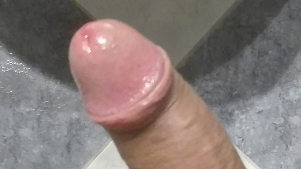 1488050076408-96502317.jpg - pio3147