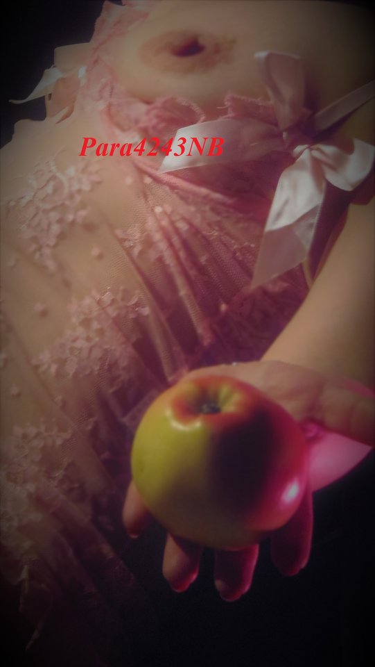 P2250245.JPG - Para4243NB