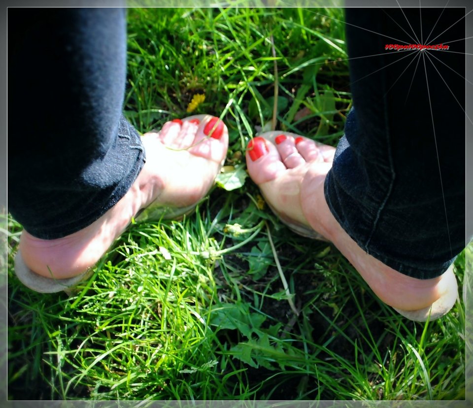 Piętki#240 - 100pa100peczka