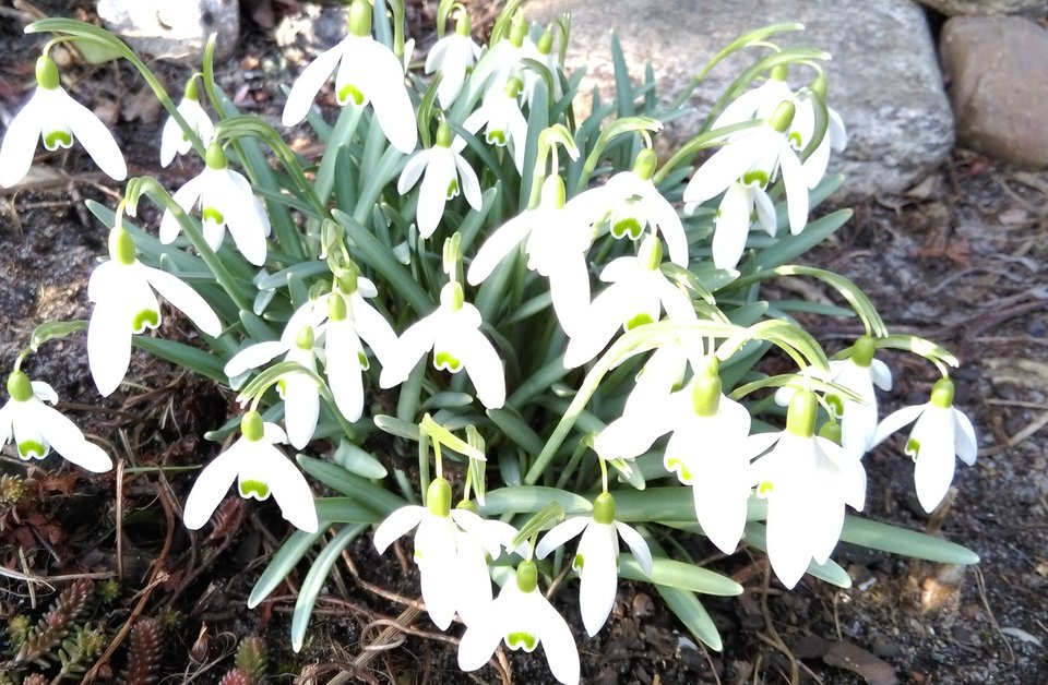 wiosna01.jpg - Lukacz2017