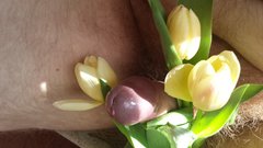 Dla wszystkich pań kwiaty dam, jeden z nich wyhodowałem sam :)