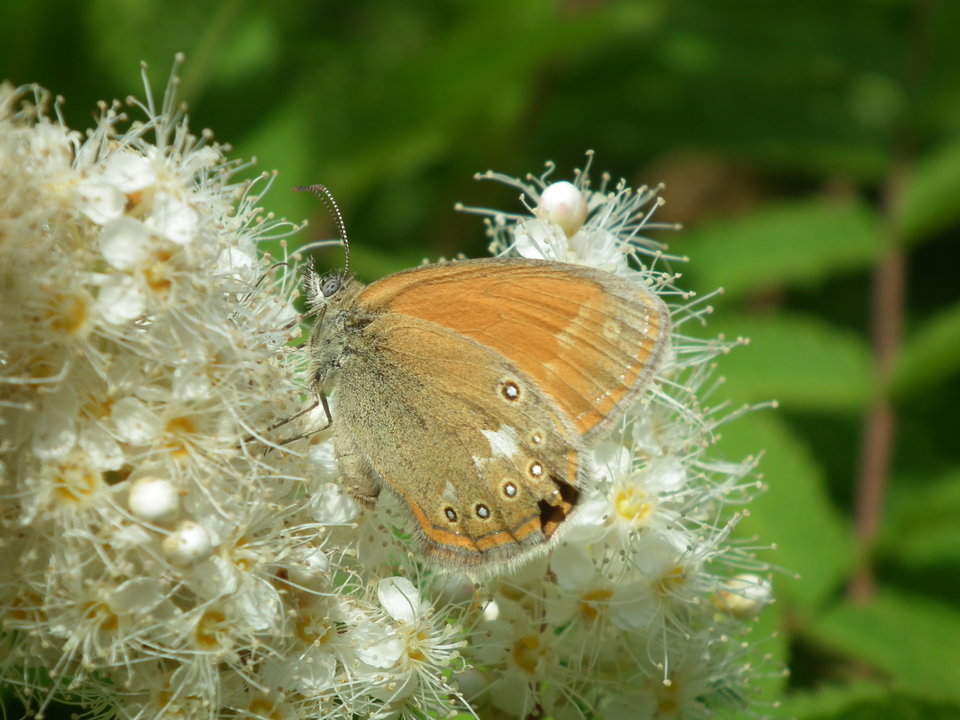 DSCF9830.JPG - NauczeCieLatac