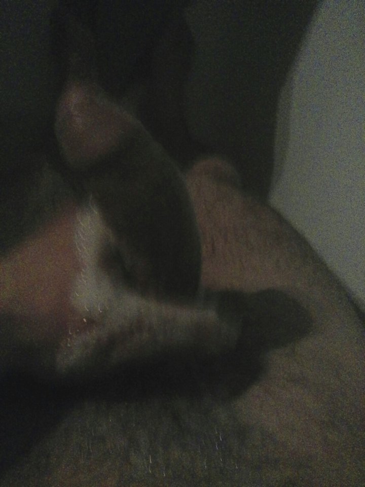 IMG_20170324_000254.jpg - Chodztukotkukrk