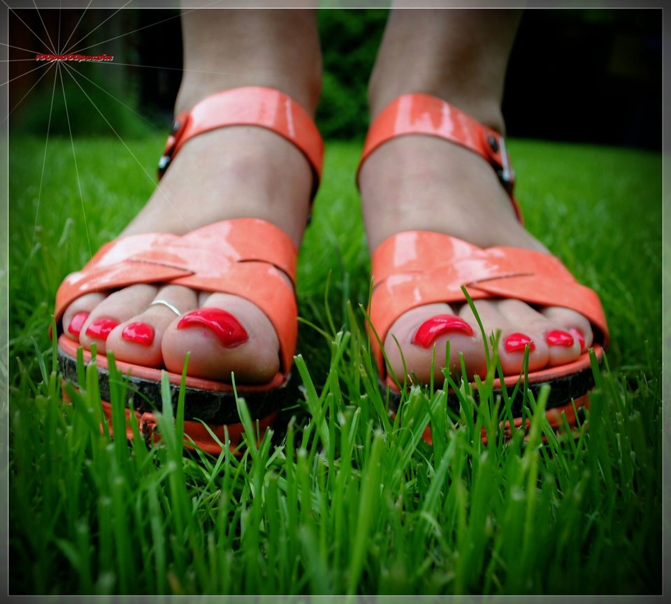 Pomaranczowe II #48 - 100pa100peczka