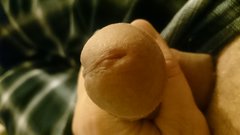 DSC_0041.JPG