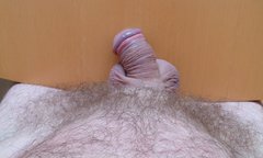 SAM_3668.JPG