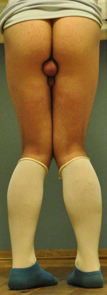 _DSC3984a.jpg - ogonekmaly