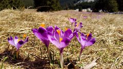 IMG_20170328_113748.jpg