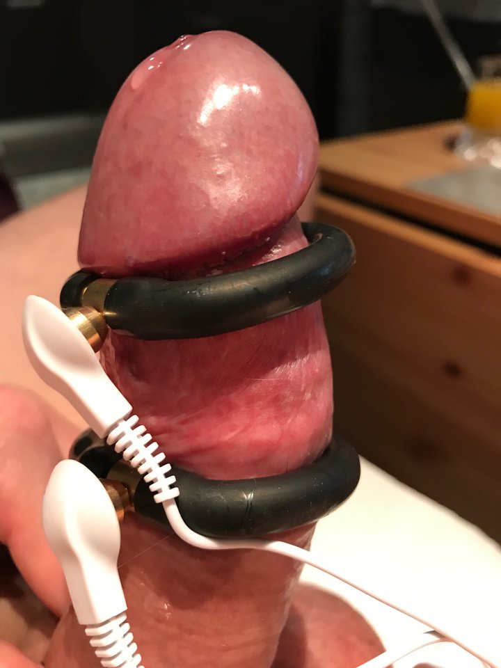 IMG_2255.jpg - seXuss