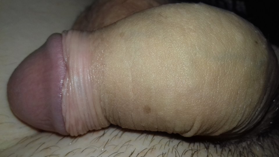 1491421819137-2000517442.jpg - Danielos123