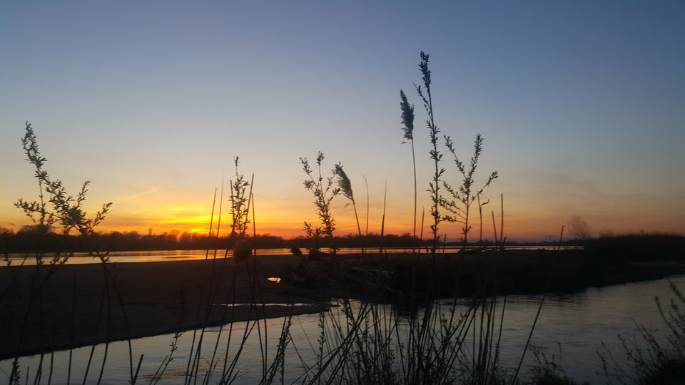 Spacerkowo - Naom__e