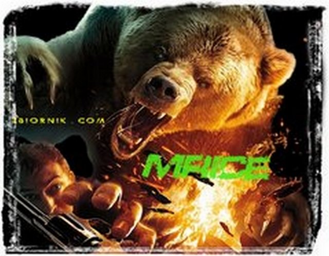 MrIce