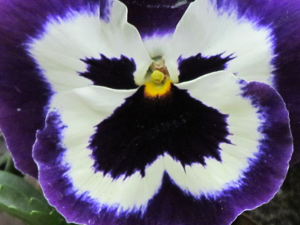 wiosennie.. - wodnik50