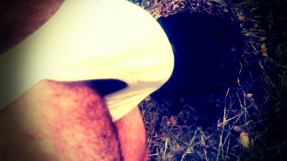 Zajmiesz się nim? - flilipo