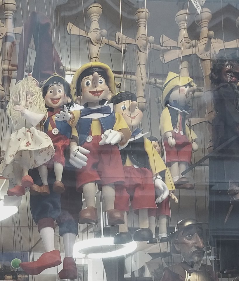 Nosek rośnie.... - Fotografm