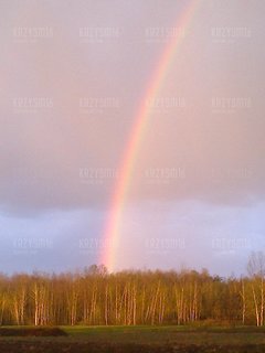 wiosenna tęcza