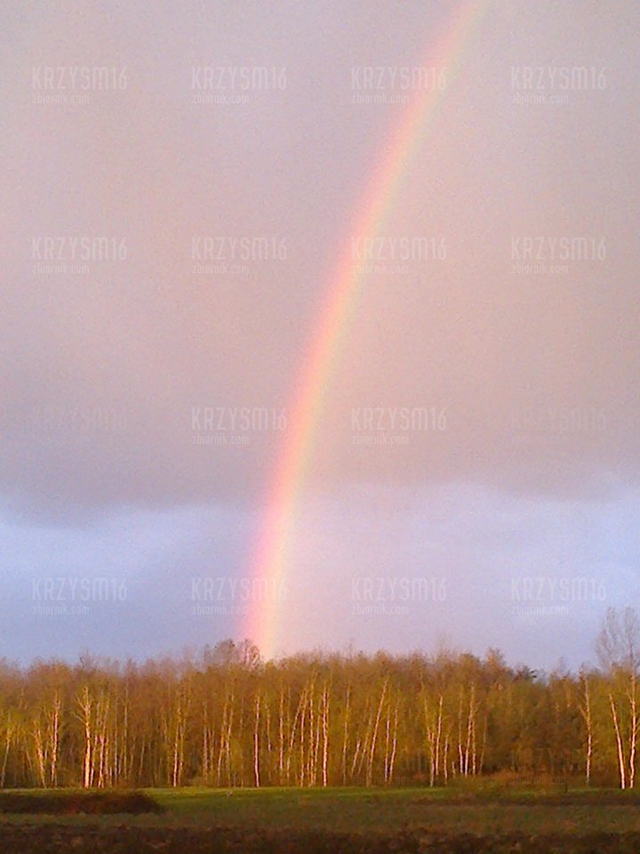 wiosenna tęcza - krzysm16